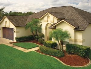 Suburban home with palm trees, landscaping, and brown shingle roofing